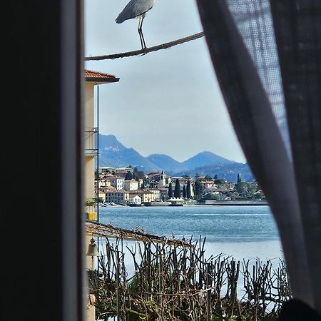 L'Airone - Casa Vacanza Mandello del Lario Zewnętrze zdjęcie