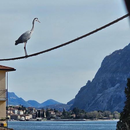L'Airone - Casa Vacanza Mandello del Lario Zewnętrze zdjęcie