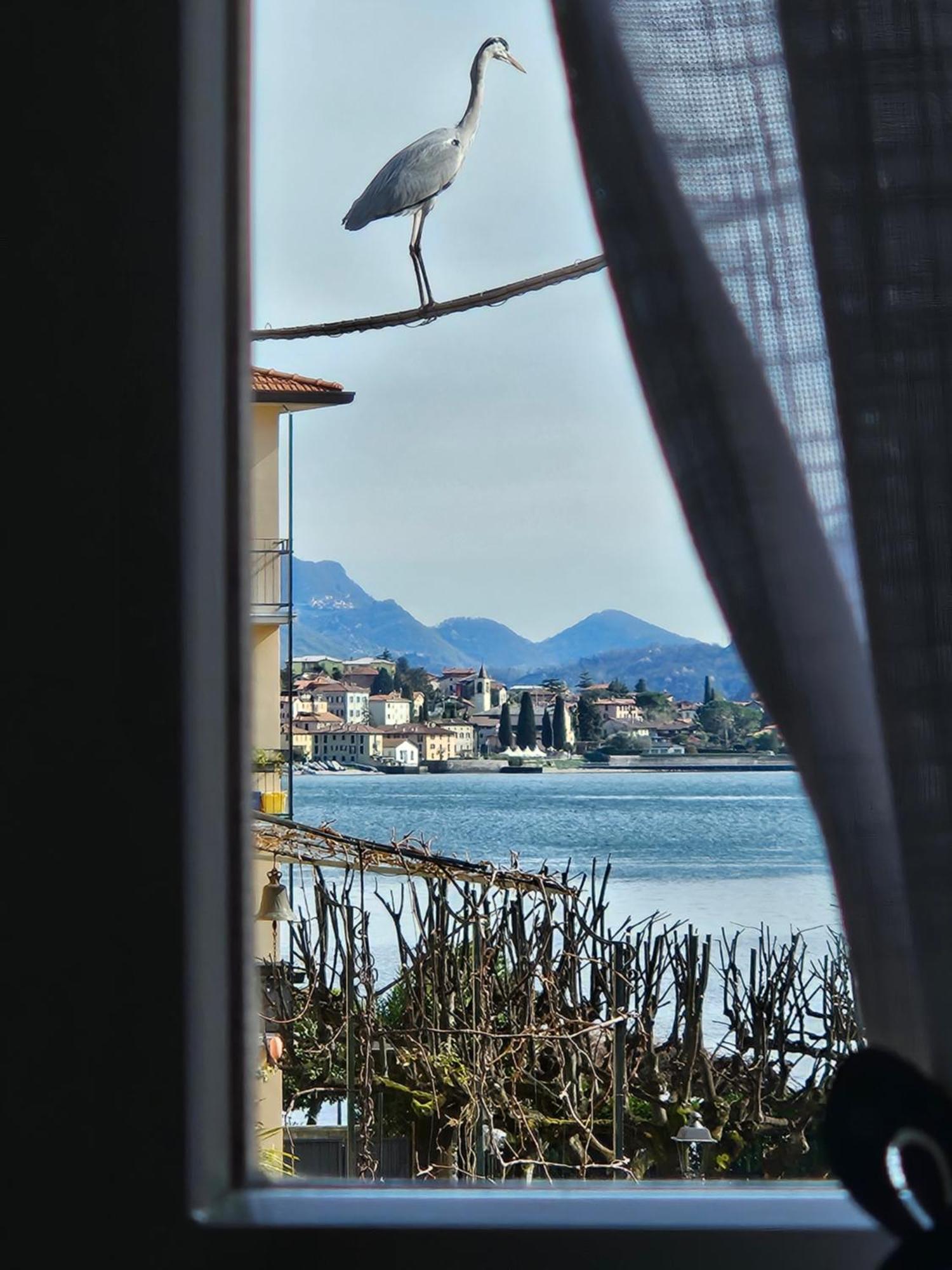 L'Airone - Casa Vacanza Mandello del Lario Zewnętrze zdjęcie