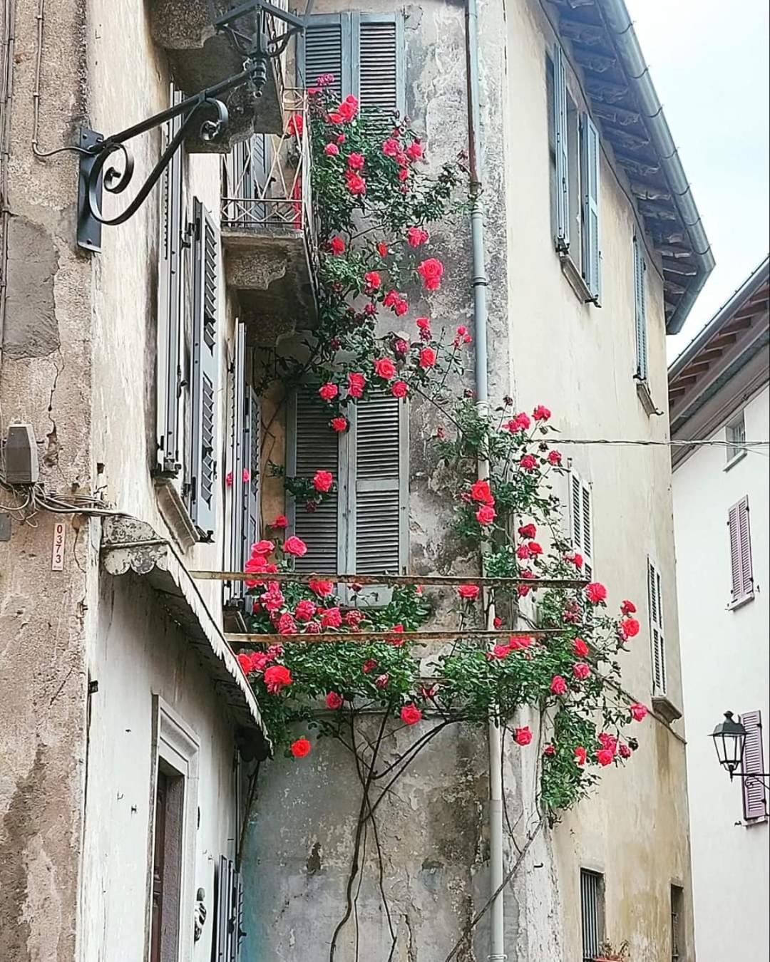 L'Airone - Casa Vacanza Mandello del Lario Zewnętrze zdjęcie